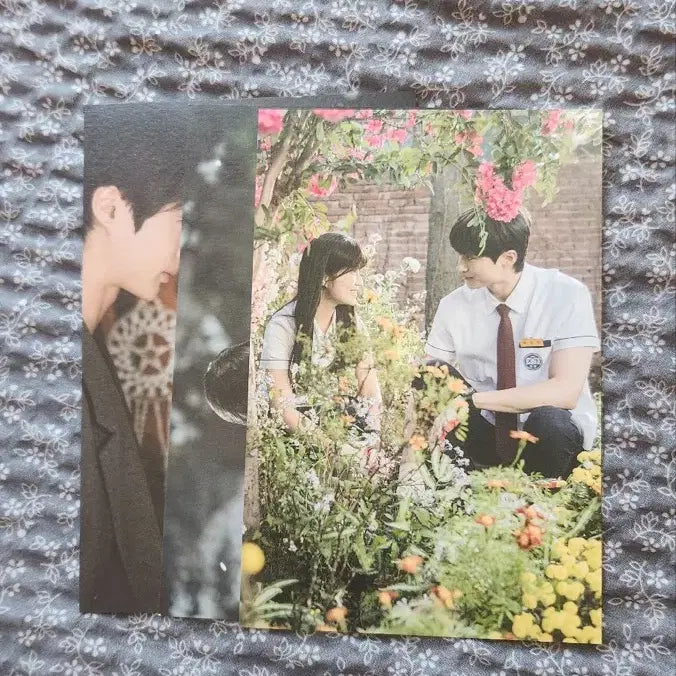 [BUNJANG] Lovely Runner Byun Woo Seok Postcard Set Official Goods / 선재업고튀어 단관공식 굿즈 엽서 변우석