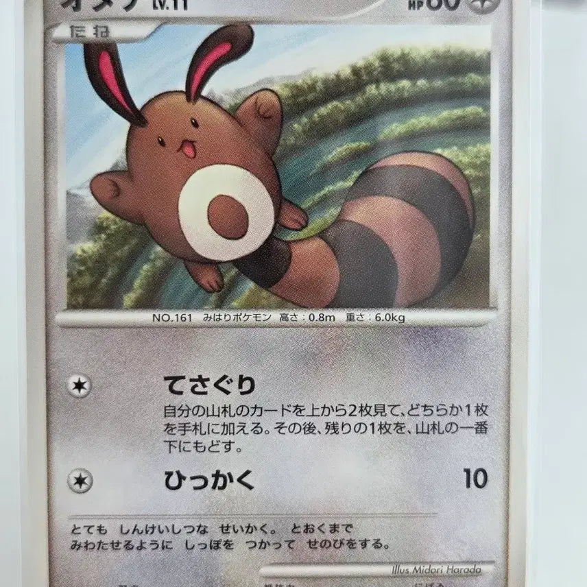 [BUNJANG] Pokémon Card Tailow LV.11 / Shining Darkness (DP3) - Vintage Japanese Edition / [일판/일본판] 포켓몬 카드 빈티지 올드백 꼬리선 LV.11 / 빛나는 어둠 (DP3)