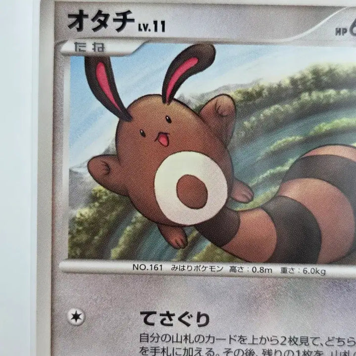 [BUNJANG] Pokémon Card Tailow LV.11 / Shining Darkness (DP3) - Vintage Japanese Edition / [일판/일본판] 포켓몬 카드 빈티지 올드백 꼬리선 LV.11 / 빛나는 어둠 (DP3)
