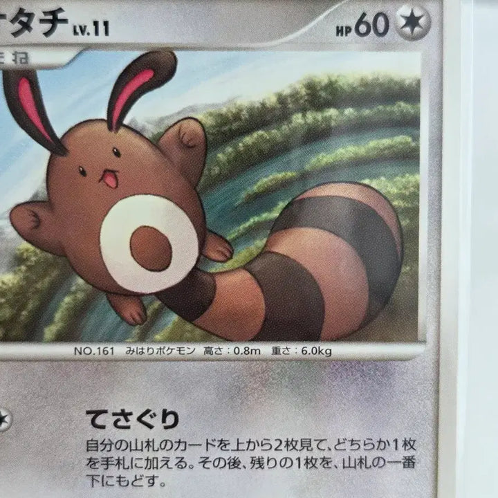 [BUNJANG] Pokémon Card Tailow LV.11 / Shining Darkness (DP3) - Vintage Japanese Edition / [일판/일본판] 포켓몬 카드 빈티지 올드백 꼬리선 LV.11 / 빛나는 어둠 (DP3)