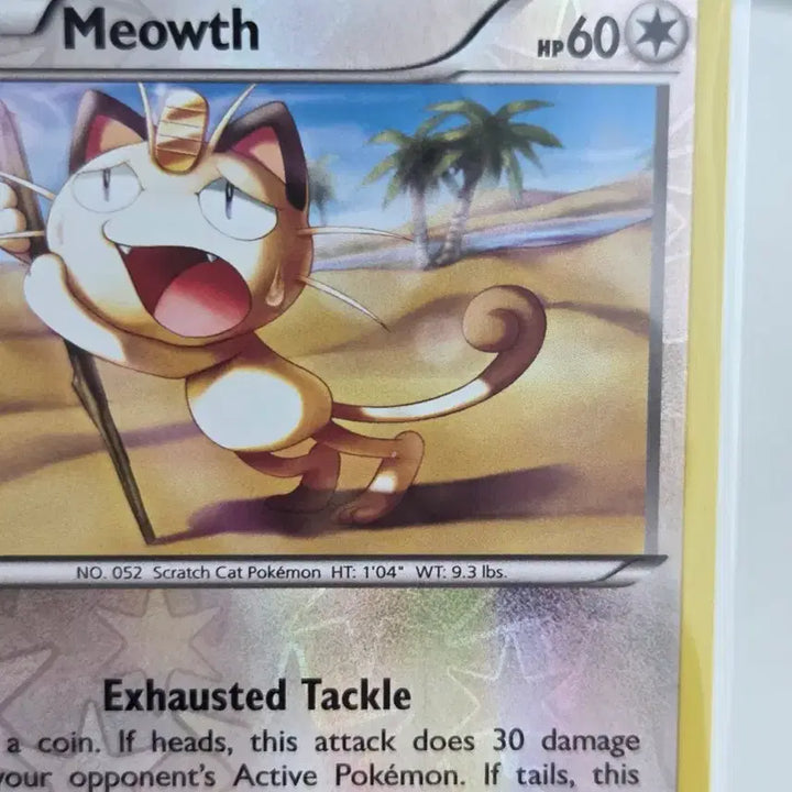 [BUNJANG] Pokemon Meowth Reverse Holo XY Series Card (Generations Pack) / [영판/영문판] 희귀매물 포켓몬 카드 나옹 (Meowth) 리버스 홀로 (XY 시리즈 53/83)