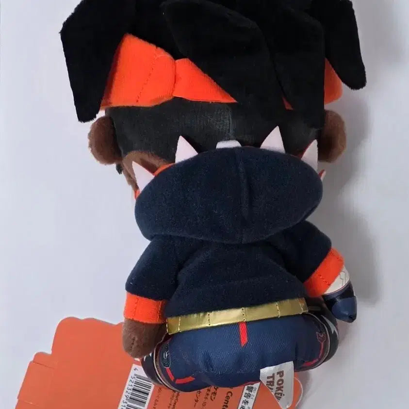 [BUNJANG] Pokemon Trainers Jin Person Plush Doll / 포켓몬 트레이너즈 금랑 누이 인형