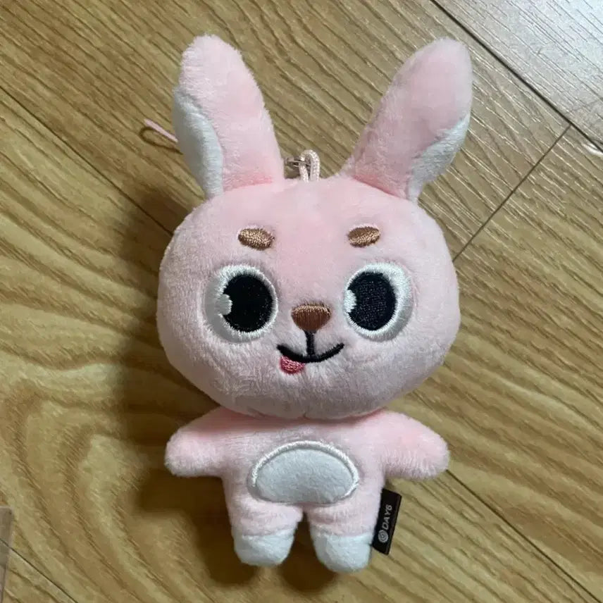 [BUNJANG] Day6 Young K Unfiltered Concert MD Secret Keyring / 원필 언필터드 솔콘 엠디 시크릿 키링 메롱필