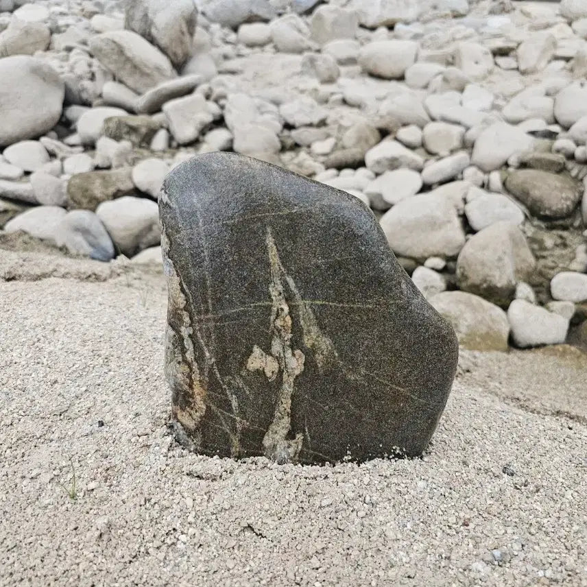 [BUNJANG] Natural Stone with Wood Grain Pattern, Approx. 20cm / 수석 자연석 나무 문양석 크기 20센치정도