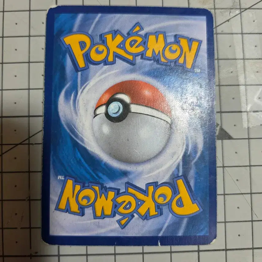 [BUNJANG] Pikachu &amp; Alolan Raichu Card / 라이츄&amp;알로라 라이츄