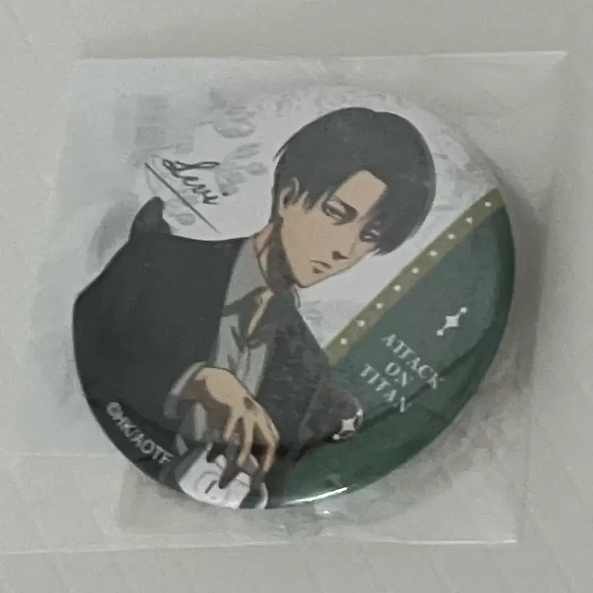 [BUNJANG] Attack on Titan Levi Badge / 진격의거인 리바이 뱃지