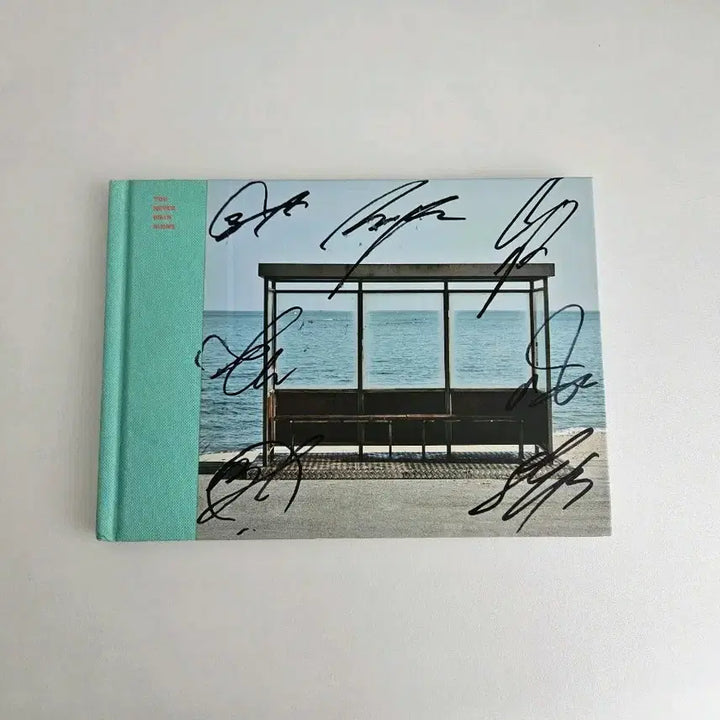 [BUNJANG] BTS Spring Day Signed Album (Not for Sale) / 방탄 봄날 싸인앨범 비매 bts 사인 희귀