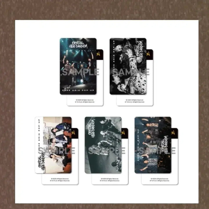 [BUNJANG] Official Hige Dandism HigeDan Popup Exclusive Photocard Set / 오피셜히게단디즘 히게단 팝업 구매 특전 5장 일괄 포카 히게단 포토카드 5종