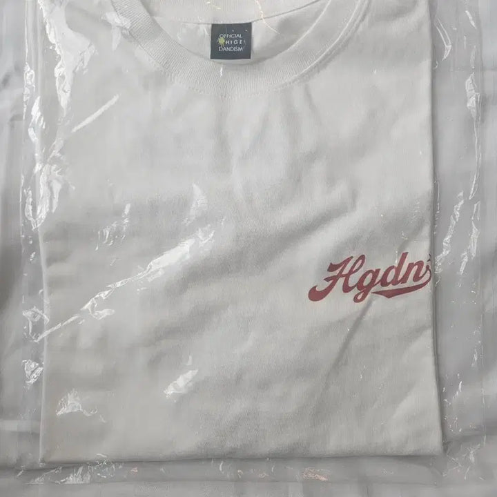 [BUNJANG] Official HIGE DANJI Pop-Up Logo T-Shirt (L, Sealed) / 히게단 팝업 로고티 L 티셔츠 미개봉