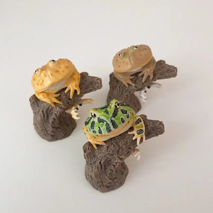 [BUNJANG] Frog Finger Collection Gacha 3-Piece Set / [급처/일괄] 생물대도감 손가락 위 컬렉션 가챠 개구리 3종
