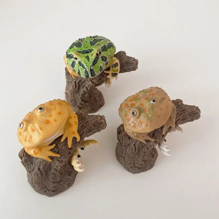 [BUNJANG] Frog Finger Collection Gacha 3-Piece Set / [급처/일괄] 생물대도감 손가락 위 컬렉션 가챠 개구리 3종