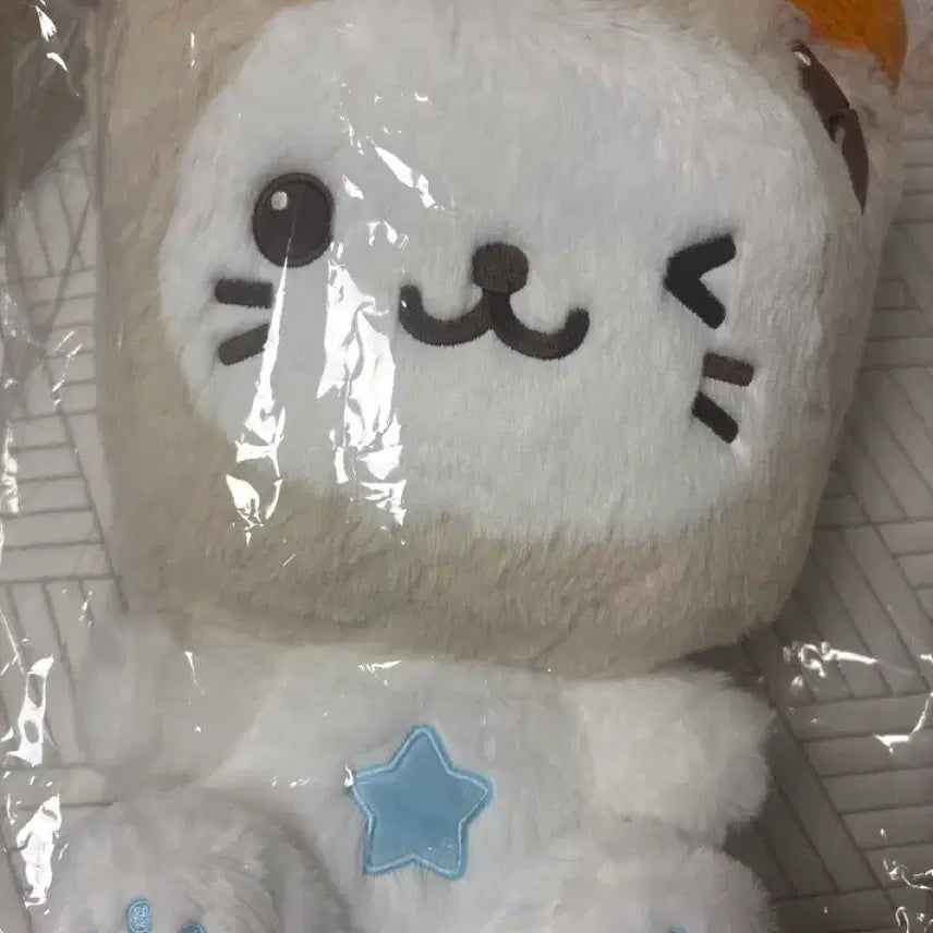 [BUNJANG] NCT WISH Yushi Bubble Cat 30cm Plush / 가격내림)엔시티위시 유우시 버블냥 30cm