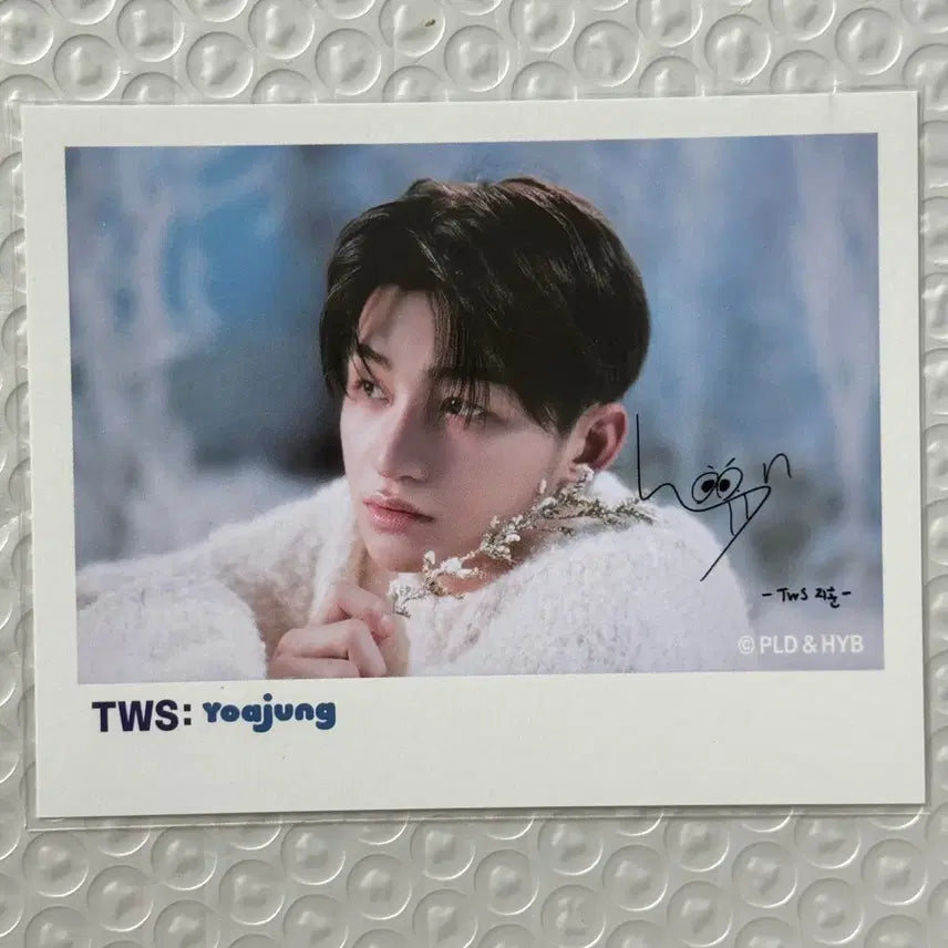[BUNJANG] SEVENTEEN Jihoon YOAZUNG Photocard / 투어스 지훈 요아정
