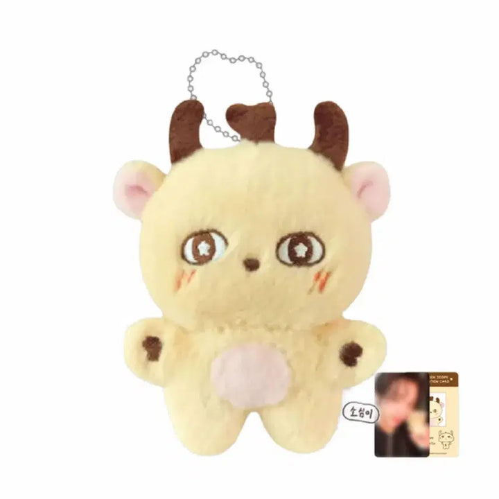 [BUNJANG] Park Jihoon Bosimyi Doll / 박지훈 인형 소심이 정가양도