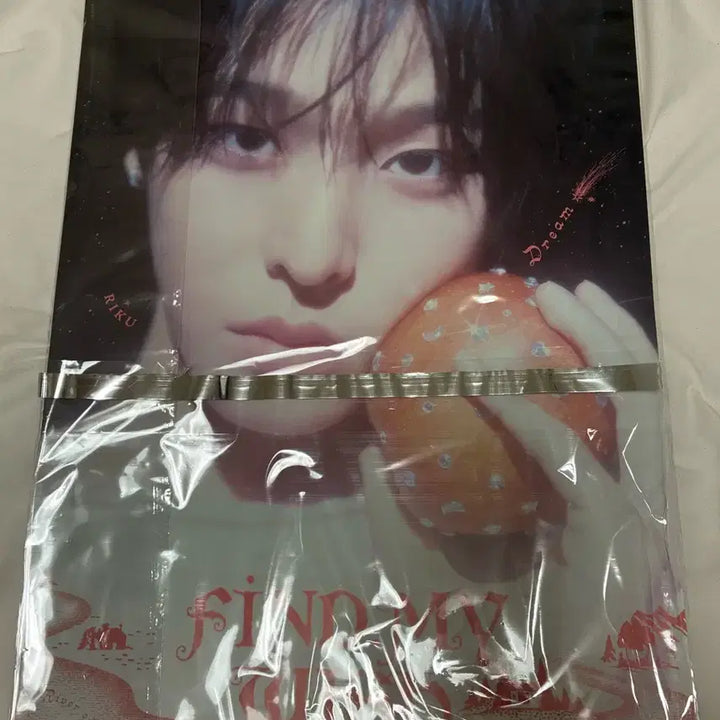 [BUNJANG] Mega Coffee Riku A-Version Poster / 메가커피 리쿠 A안 포스터