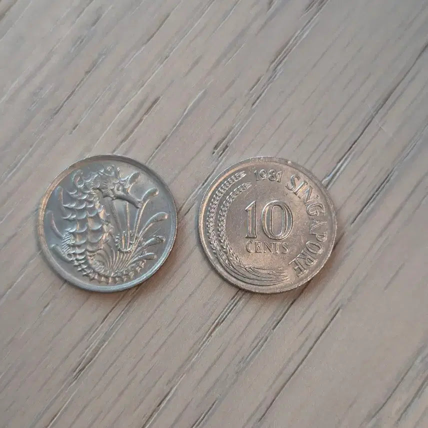 [BUNJANG] Singapore 10 Cents Coin - 1981 &amp; 1984 / 싱가포르 10센트 주화 1981년,  1984년