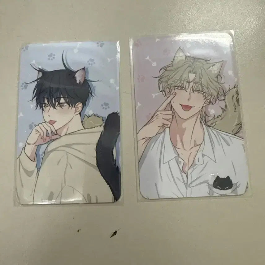 [BUNJANG] Mulgaeui Bam Mulgae Nyi Bundle Set Photocard / 물가의밤 물가냥이 포토카드 일괄