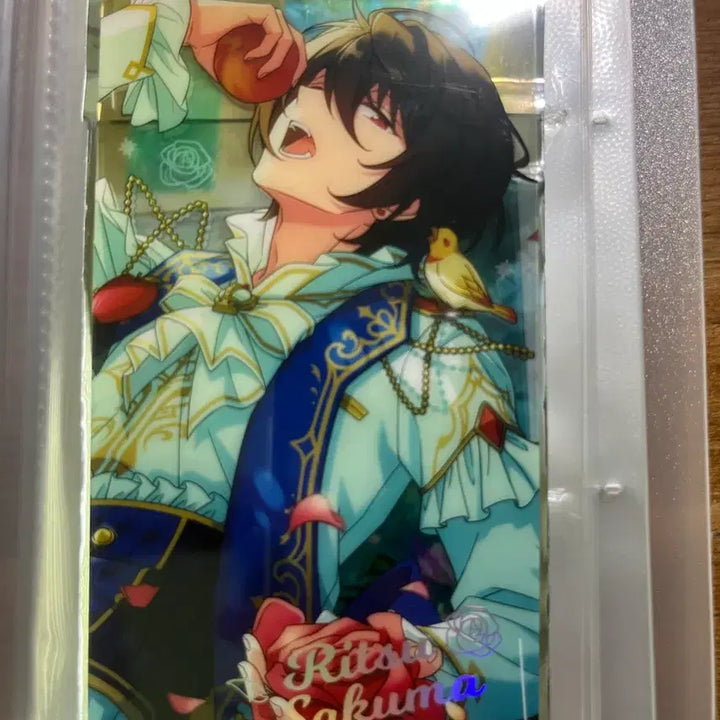 [BUNJANG] Ensemble Stars! Chugata Limited Edition Scout Card - Ritsu / 앙스타 중스타 리츠 한정 스카우트 카드
