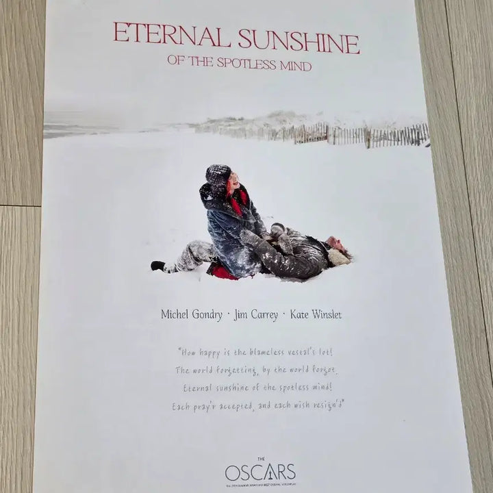 [BUNJANG] Eternal Sunshine of the Spotless Mind 20th Anniversary Special Limited Oscar Poster (A3) / [2023초희귀한정판]영화 이터널선샤인 20주년 기념 스페셜 한정 오스카 포스터(A3) 미셸 공드리 감독 포스터