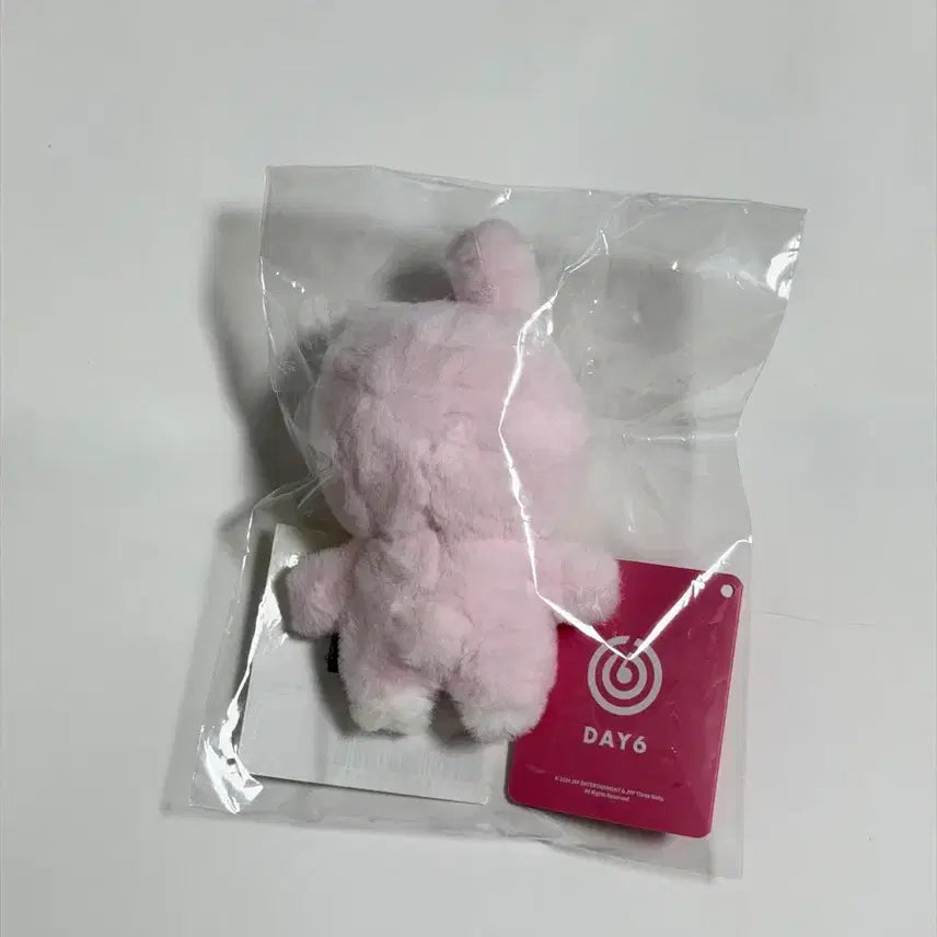 [BUNJANG] Day6 Young K Petitmerds 10cm Plush / 데이식스 쁘띠멀즈 필 원가이하 양도 10cm 쁘멀 필 필끼 원필