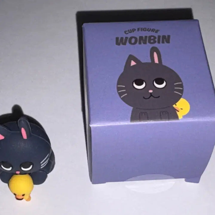 [BUNJANG] RIIZE Wonbin TongNyeongDeok Cup Figure / 라이즈 원빈 토냥덕 컵피규어 히퍼 판매