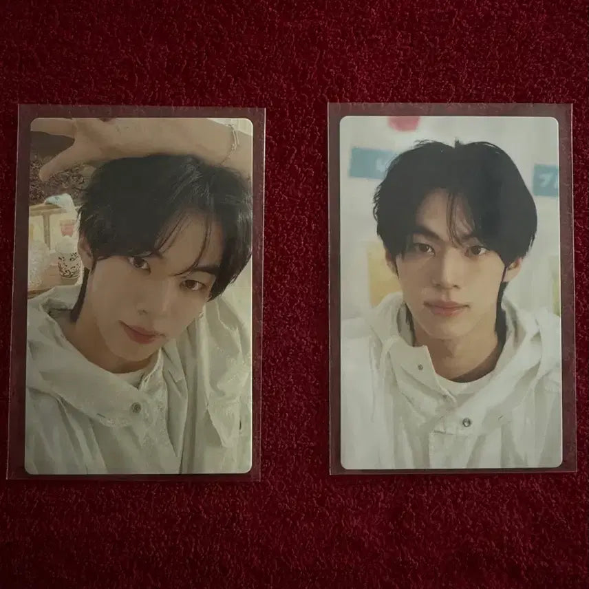 [BUNJANG] TWS Soda Soda POB Dohoon Photocard / 투어스 소다소다 개인반 도훈 포카