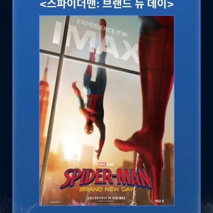 [BUNJANG] Spider-Man: No Way Home IMAX Poster / 스파이더맨 브랜드 뉴 데이 IMAX 포스터