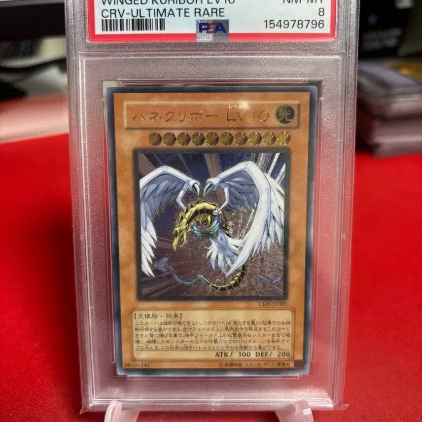 [BUNJANG] Yu-Gi-Oh! Winged Kuriboh PSA 8 Japanese Ultimate Rare / 유희왕 psa8 날개 크리보 일판 얼티