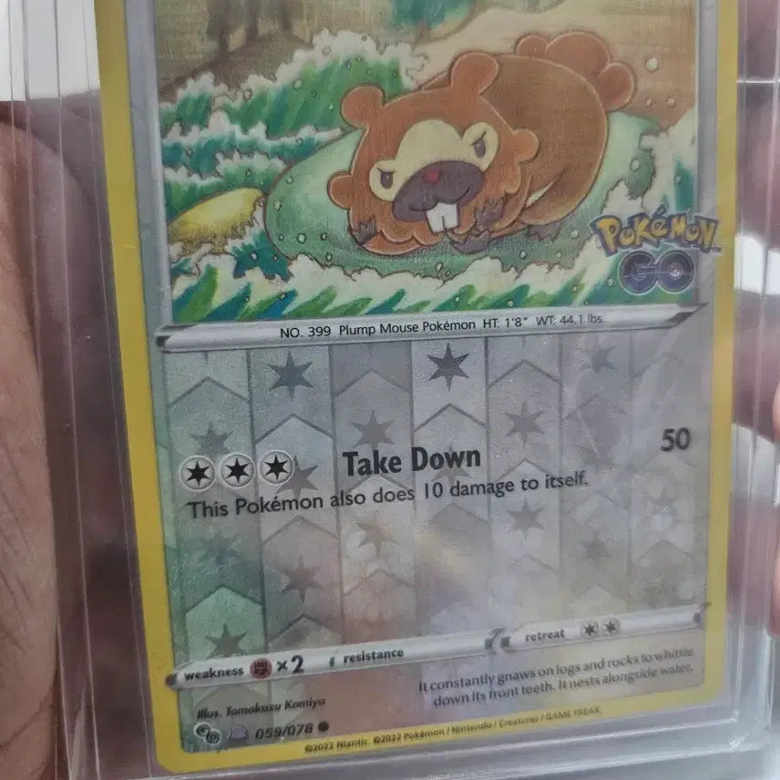 [BUNJANG] Pokemon Go North America Metamon Bundle Set / 포켓몬카드 북미 포켓몬고 메타몽 일괄
