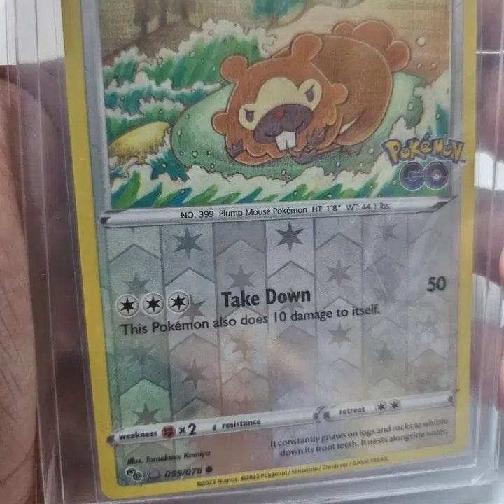 [BUNJANG] Pokemon Go North America Metamon Bundle Set / 포켓몬카드 북미 포켓몬고 메타몽 일괄