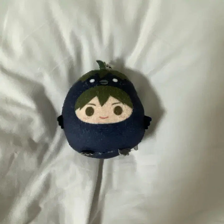 [BUNJANG] HaniQ Yamaguchi Tadashi Tenorinz Plush / 하니큐 야마구치 타다시 테노린즈