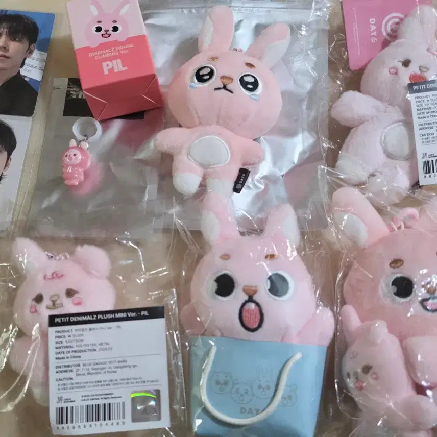 [BUNJANG] DAY6 Wonpil "Ppuyaing Phil", "Mejilushi Phil", Japanese Back Charm Phil, Naana Phil" Bundle Set / 필 세트 미개봉 새제품 일괄판매(뿌앵필, 메지루시필, 쁘쁘멀 필 등 포함)