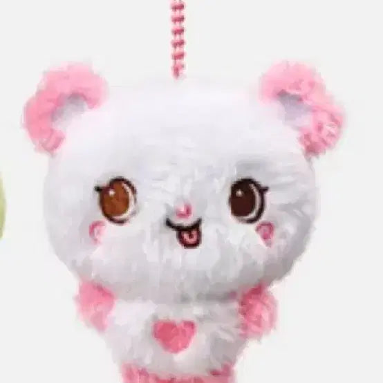 [BUNJANG] NCT WISH Pocket Wish Doll Sakuraya / 오늘만이가격!!!)엔시티위시 포켓위시돌 포켓돌 팡이 사쿠야