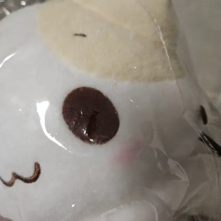 [BUNJANG] Sanrio Marshmallow Plush Medium 25cm / 산리오마슈마로인형중형25cm