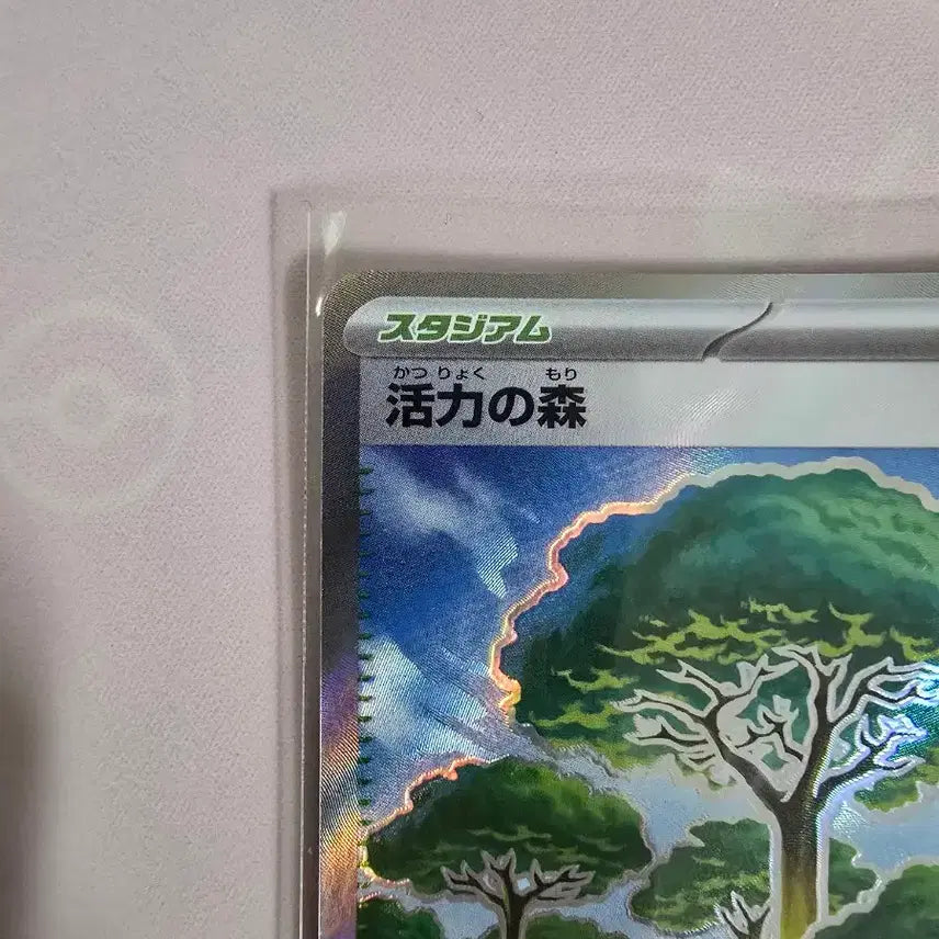 [BUNJANG] Pokemon Card Forest of Vitality SR 109/080 Japanese Full Art Stadium / 포켓몬카드 활력의 숲 SR 109/080 일본판 스타디움 풀아트