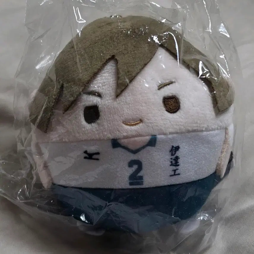 [BUNJANG] Haikyuu!! Fuwakororin Fukabuchi Kenji / 하이큐 후와코로링 후타쿠치 켄지