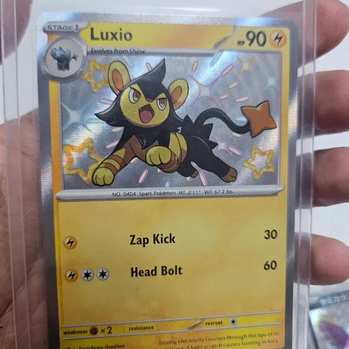 [BUNJANG] Pokemon Cards North America Shiny Lot / 포켓몬카드 북미 이로치 일괄