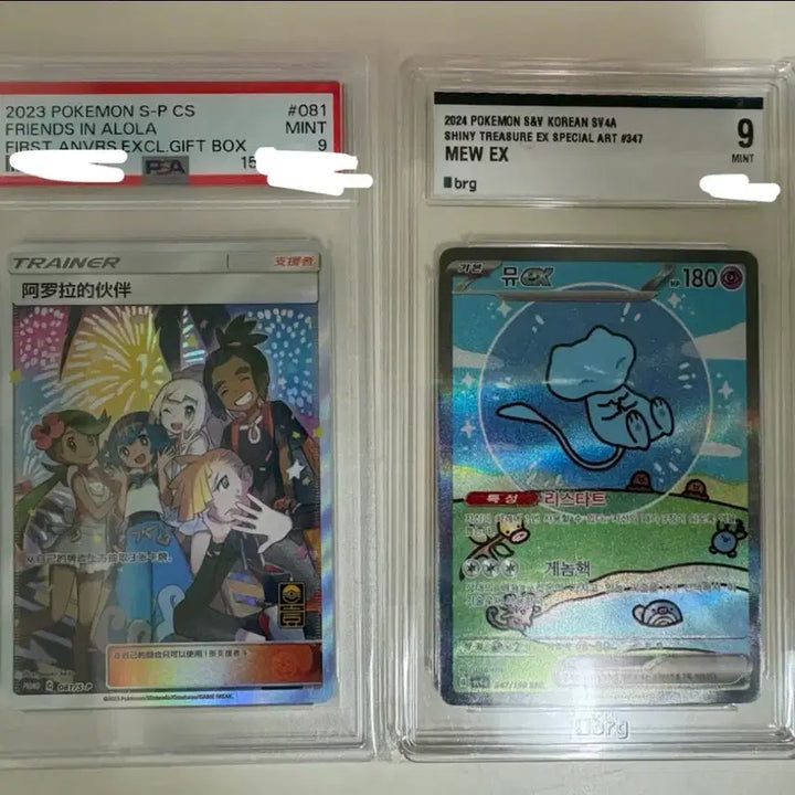 [BUNJANG] Pokemon Card Trading / 포켓몬카드 교환
