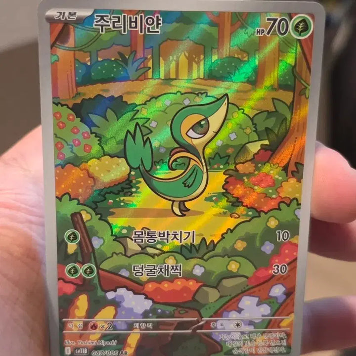 [BUNJANG] Pokemon Card Chirubi AR Card / 포켓몬카드 주리비얀 AR 카드 A급