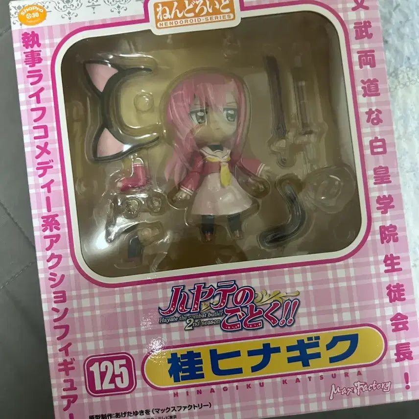 [BUNJANG] Katsura Hinagiku Nendoroid 