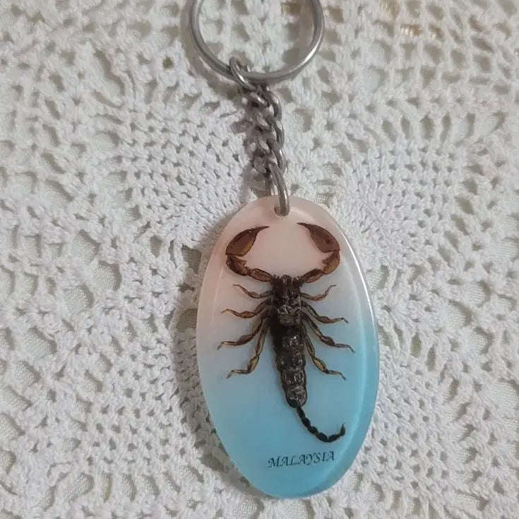 [BUNJANG] Real Scorpion Keychain Holder / 말레이시아 리얼 전갈 키링,키홀더/