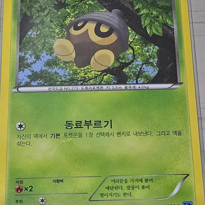 [BUNJANG] Pokemon Card Dottler 005/080 C / [최저가] 포켓몬카드 도토링 005/080 C