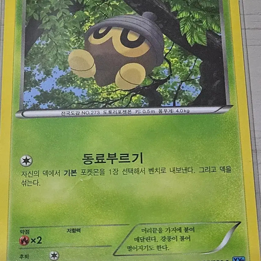 [BUNJANG] Pokemon Card Dottler 005/080 C / [최저가] 포켓몬카드 도토링 005/080 C