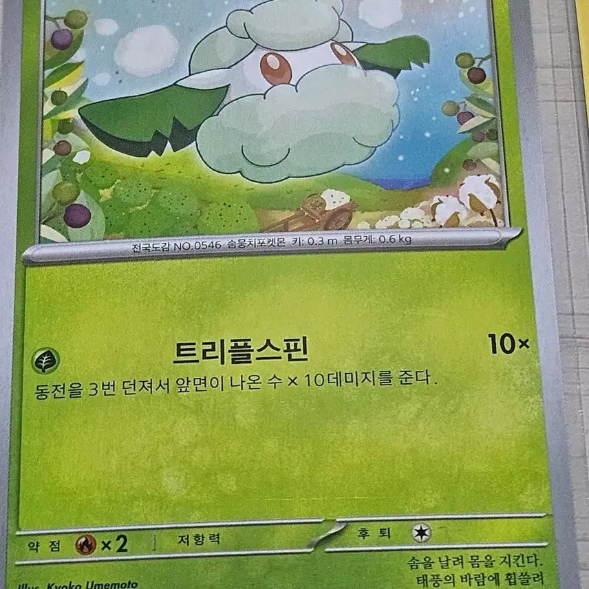 [BUNJANG] Pokemon Card Somian / 포켓몬카드 소미안