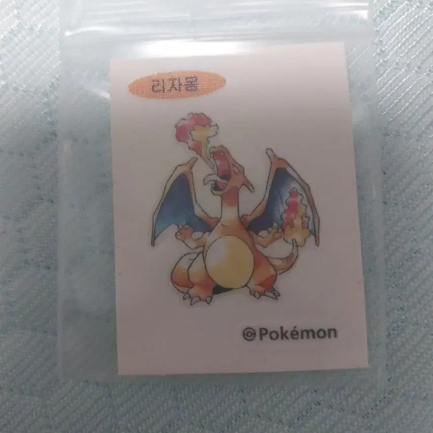 [BUNJANG] Charizard Artwork / 리자몽 아트웍