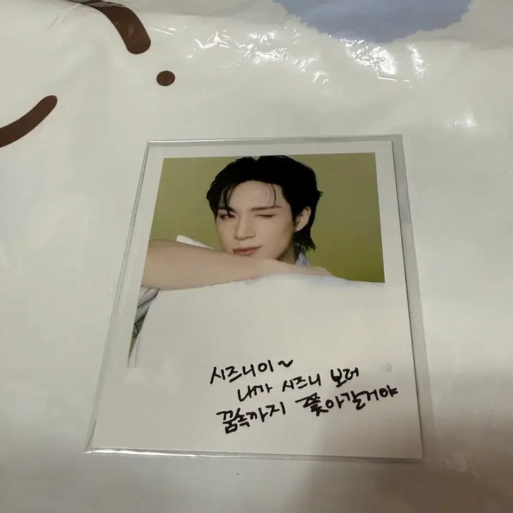 [BUNJANG] Mueong Pillow Cover Full Set / 므엉이 배게커버