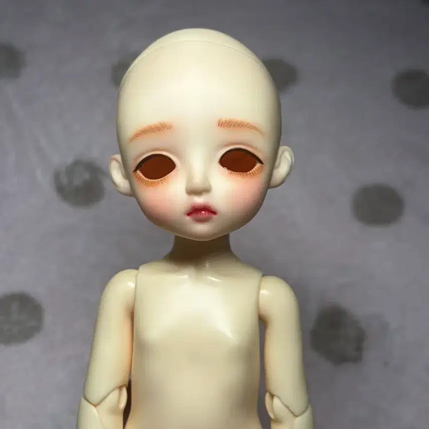 [BUNJANG] LinaChuchu Basic Chloe Ball-Jointed Doll / 리나슈슈 베이직 클로에 판매물포/ 구체관절 인형 / 구관 판매 물포