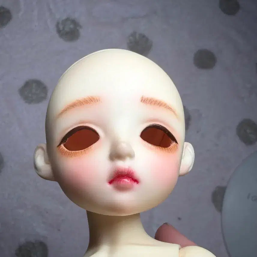 [BUNJANG] LinaChuchu Basic Chloe Ball-Jointed Doll / 리나슈슈 베이직 클로에 판매물포/ 구체관절 인형 / 구관 판매 물포