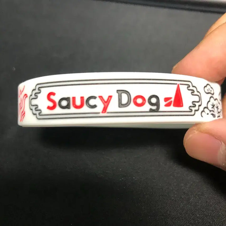 [BUNJANG] Saucy Dog Osaka Dome New Year Concert Rubber Band / 사우시독 오사카 돔 신년 공연 러버밴드