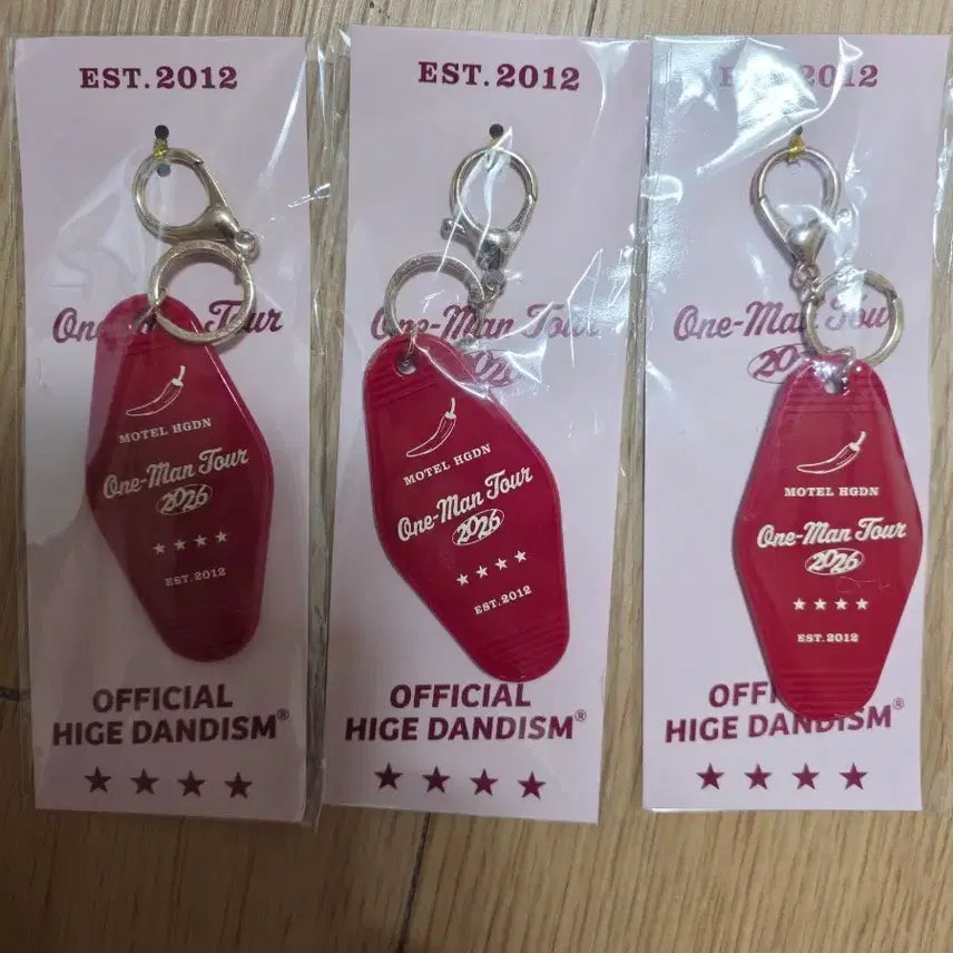 [BUNJANG] Official HIGE DANJI Asia Tour Seoul Limited Keychain / 히게단 서울한정 키링